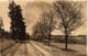 CPA AK Schomberg - Schomberg B. Wildbad - Road Scene GERMANY (910405) - Schömberg