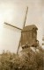 PAAL Bij Beringen (Limburg) - Molen/moulin - Maxikaart Van De Verdwenen Gielenbergmolen Omstreeks 1950 - Beringen