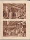 Delcampe - Ancien Fascicule Intéressant - 1932 - Bulletin De La Fédération Des Syndicats De Producteurs De Noix De Grenoble - 1901-1940