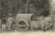 Indochina, Vietnam, Charrette Bœufs Chez Les Mois, Bullock Cart (1910s) Postcard - Viêt-Nam