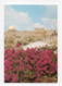 Israel: Jerusalem, Partial View (19-1813) - Israel