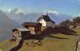 PIE.Z.19-PF.T-1136 :  BETTMERALP. WALLIS. - Bettmeralp