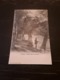 Cartolina Postale 1900, Genève, Sentier De La Jonction - Genève