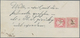 Bayern - Marken Und Briefe: 1867, Wappen 2x 3 Kr. Rot Mit Federzug Auf Sehr Seltenem Vordruck-Porto- - Altri & Non Classificati