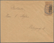 Deutsches Reich - Privatpost (Stadtpost): DANZIG - Stadt-Brief-Spedition: 1890, Ganzsachenausschnitt - Posta Privata & Locale