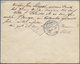 Deutsch-Neuguinea: 1898 (31.8.), 20 Pfg Aufdruck Mit Stempel "BERLINHAFEN DEUTSCH-NEU-GUINEA" Auf Fr - Nuova Guinea Tedesca
