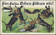 Ansichtskarten: MOTIVE / THEMATIK, Schachtel Mit Weit über 350 Alten Ansichtskarten Ab Ca. 1900 Bis - 500 Karten Min.