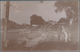 Ansichtskarten: KARTON, Mit Knapp 1300 Historischen Ansichtskarten Ab Ca. 1900 Bis In Die 1970er Jah - 500 Cartoline Min.