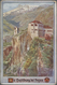 Delcampe - Ansichtskarten: Italien - 1898/1935, Südtirol / Alto Adige. Feinst Nach Orten Und Tälern Sortierter - 500 Postkaarten Min.