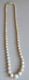 ANCIEN COLLIER EN IVOIRE - L --> 51.5 CM - Colliers/Chaînes