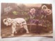 Cpa Fantaisie Elephant En Biscuit Chariot De Fleur Violette Postcard Flower Violet Carte Postale Ancienne Ancien - Éléphants