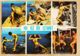 X83253 Ile Du LEVANT Var Naturisme Cité Naturiste TOPLESS Souvenir Multivues 1970s Naturistes Héliopolis - Autres & Non Classés