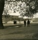 Suéde Stockholm Palais Royal Ancienne Photo Stereo NPG 1900 - Stereoscopic