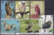 2019.63 CUBA 2019 MNH AVES NOCTURNAS NIGHT BIRD BUHOS LECHUZAS - Ongebruikt