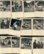 CAMP A CIERGNON Avec Le PRINCE BAUDOUIN (1943) – Lot De 40 Photos - Scoutisme