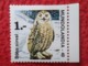 SPAIN ANTIGUO CROMO SMALL OLD COLLECTIBLE CARD OWL HIBOU GUFO BÚHO NIRVAL SIMILAR A LECHUZA EULE MUNDOLANDIA Nº 49 VER - Otros & Sin Clasificación