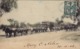 1673/ Wool Teams, Wyanilra, Shell Series, Queensland Industreis 1906 - Autres & Non Classés