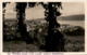 Wädenswil V. D. Schloßterrasse Aus Gesehen (21875) * 8. 7. 1931 - Wädenswil