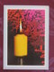 Czechoslovakia 1992 Postcard "greetings Candle" To Prague - Arms - Jan Opletal - Students Day - Covers & Documents