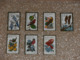 Pin's Timbre Poste USA - Oiseaux - Sets