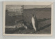 Photographie Taaf Kerguelen Expédition Polaire 1960 Panneau Pingoin Signée Au Dos Photo 9x13 Cm - Foto Dedicate