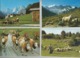 Lot De 30 Cartes Postales Modernes Agriculture   ( Europe ) - Autres & Non Classés