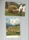 Delcampe - Lot De 30 Cartes Postales Modernes Agriculture   ( Europe ) - Autres & Non Classés
