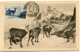 ANDORRE FRANCAIS CARTE MAXIMUM DU PA 1 ISARDS OBLITERATION ANDORRE LA VIEILLE 7-5-1951 VAL - D'ANDORRE - Cartes-Maximum (CM)