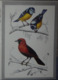 Petit Calendrier De Poche 1987 Illustration Oiseau Mésange - Small : 1981-90