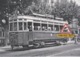 203T - Motrice N°164 Du Tramway De Nice (06), Place Garibaldi  - - Transport (road) - Car, Bus, Tramway