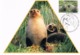 AUSTRALIAN ANTARCTIC TERRITORY • 1993 • REGIONAL WILDLIFE II • MAXIMUM CARD SET OF 3 - Maximum Cards