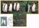 AUSTRALIAN ANTARCTIC TERRITORY • 1993 • REGIONAL WILDLIFE II • MAXIMUM CARD SET OF 3 - Cartoline Maximum