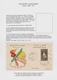Delcampe - Ägypten - Besetzung Von Palästina: 1957/1965, GAZA, Attractive Collection Comprising 16 Commercial C - Otros & Sin Clasificación