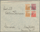 Delcampe - Argentinien - Ganzsachen: 1885/1921 (ca.), Stationery Mint/used (10/31) Inc. 1949 P.o. Box License 1 - Enteros Postales