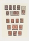 Tasmanien: 1857/1872 (ca.), Specialised Used Collection Of 6d. Lilac/violet (26) And 1s. Orange (11) - Briefe U. Dokumente