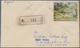 Bhutan: 1960s/1970s, Lot Of 21 Covers Incl. Registered And Airmail, Also Some 3D Stamps, Some Postal - Bhután