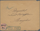 China - Shanghai: 1873/97, Local Posts Stationery Mint/used/cto (37) Or Covers (3), Also Chefoo LPO - Otros & Sin Clasificación