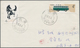 Delcampe - China - Besonderheiten: 1956/2003, Used In Tibet, Covers (30), Used Ppc (5) With Bilingual Postmarks - Otros & Sin Clasificación