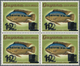 Guyana: 1980/1990 (ca.), Duplicated Accumulation In Large Box With Perforated And IMPERFORATE Single - Guyana (1966-...)