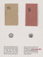 Indien - Feudalstaaten: MEWAR STATE 1876-1947 - "BRAHAMINI DAK": Exhibition Collection Of Mewar Stat - Otros & Sin Clasificación