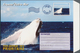 Neukaledonien: 2000/2004 (ca.), Accumulation With Approx. 500 PRE-STAMPED ENVELOPES With Some Differ - Cartas & Documentos