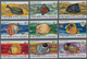 Penrhyn: 1974, Fishes Definitives Complete Set Of 12 In A Lot With 640 Sets In Part Sheets, MNH And - Penrhyn