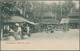 Singapur: 1880/1990 (ca.), Accumulation Of 100 Old Picture-postcards, Mostly Unused And 43 Modern Pi - Singapur (...-1959)