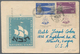 Delcampe - Asien: 1900/1980 (ca.), Group Of 42 Covers/cards/stationeries, Comprising Iran, Arab States, Japan, - Asia (Other)