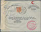 Asien: 1925/82 (ca.), Near East Inc. Gulf States, Lebanon, Syria, Iraq (inc. 1942 Red Halfmoon And 1 - Asia (Other)