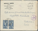 Delcampe - Asien: 1925/82 (ca.), Near East Inc. Gulf States, Lebanon, Syria, Iraq (inc. 1942 Red Halfmoon And 1 - Autres - Asie