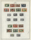 Naher Osten: 1918/1968, Near/Middle East, Used And Mint Collection Of Iraq, Jodan, Lebanon, Hejaz/Sa - Sonstige & Ohne Zuordnung