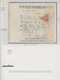 Brieftaubenpost: 1899/1904, NEW ZEALAND "THE GREAT BARRIER ISLAND PIGEON MAIL", Extraordinary And De - Palomas, Tórtolas