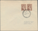 Thematik: Antarktis / Antarctic: 1948/1987, Collection Of Apprx. 200 Covers Bearing Argentinian Fank - Sonstige & Ohne Zuordnung