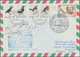 Thematik: Arktis / Arctic: 1973/1994, NORWAY, Interesting Collection Of Apprx. 110 Arctic Covers And - Otros & Sin Clasificación